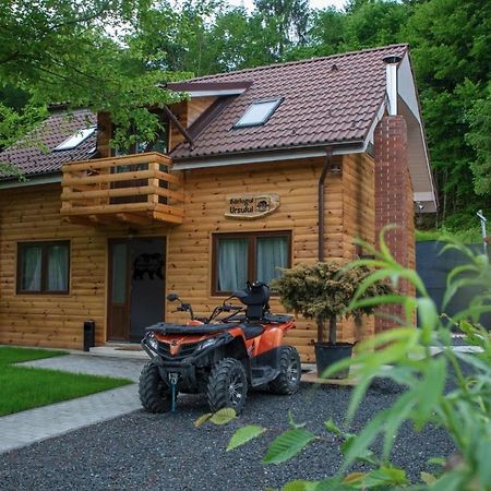 Bear'S Lair Chalet Porumbacu de Sus Exteriör bild