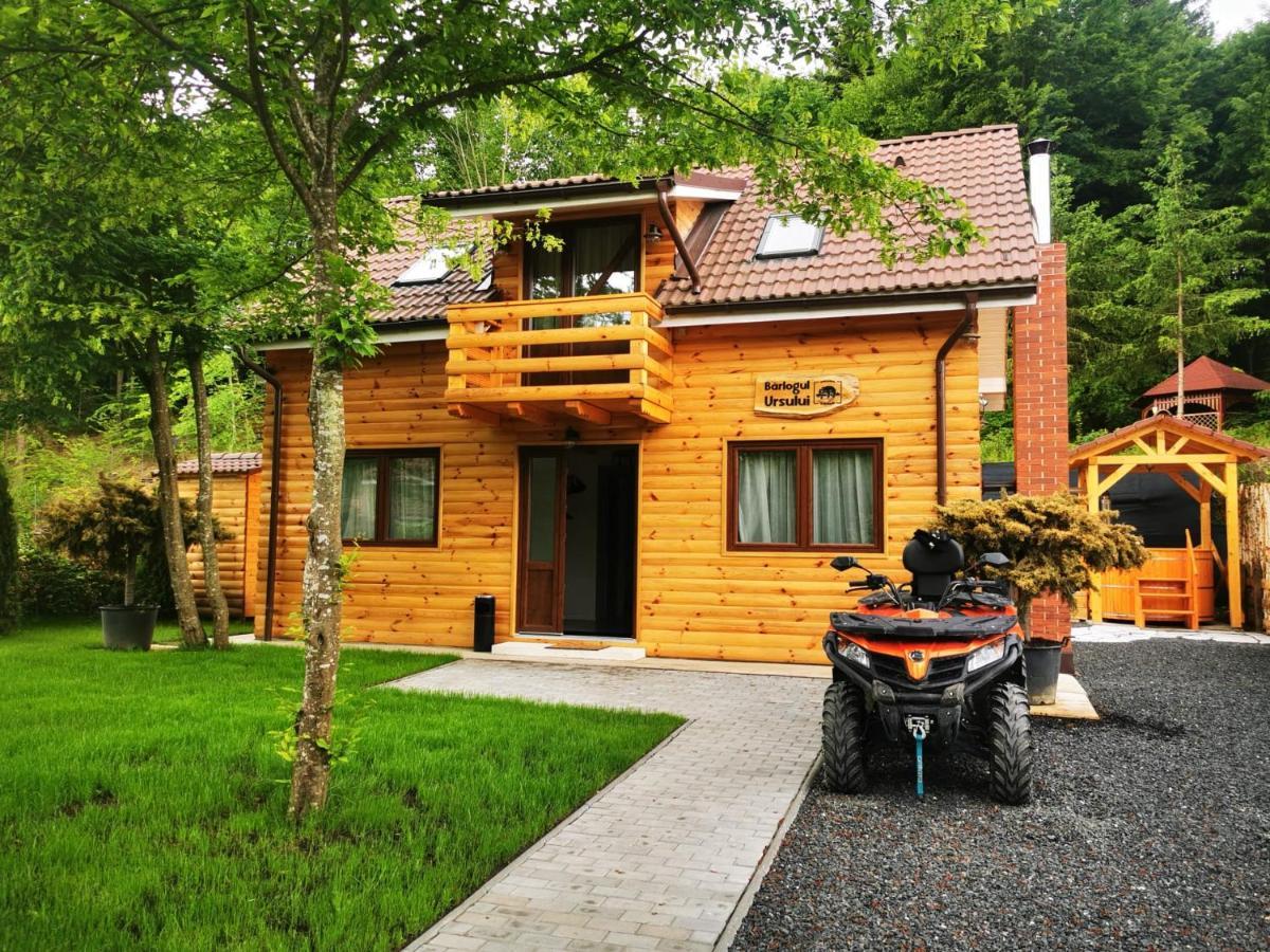Bear'S Lair Chalet Porumbacu de Sus Exteriör bild