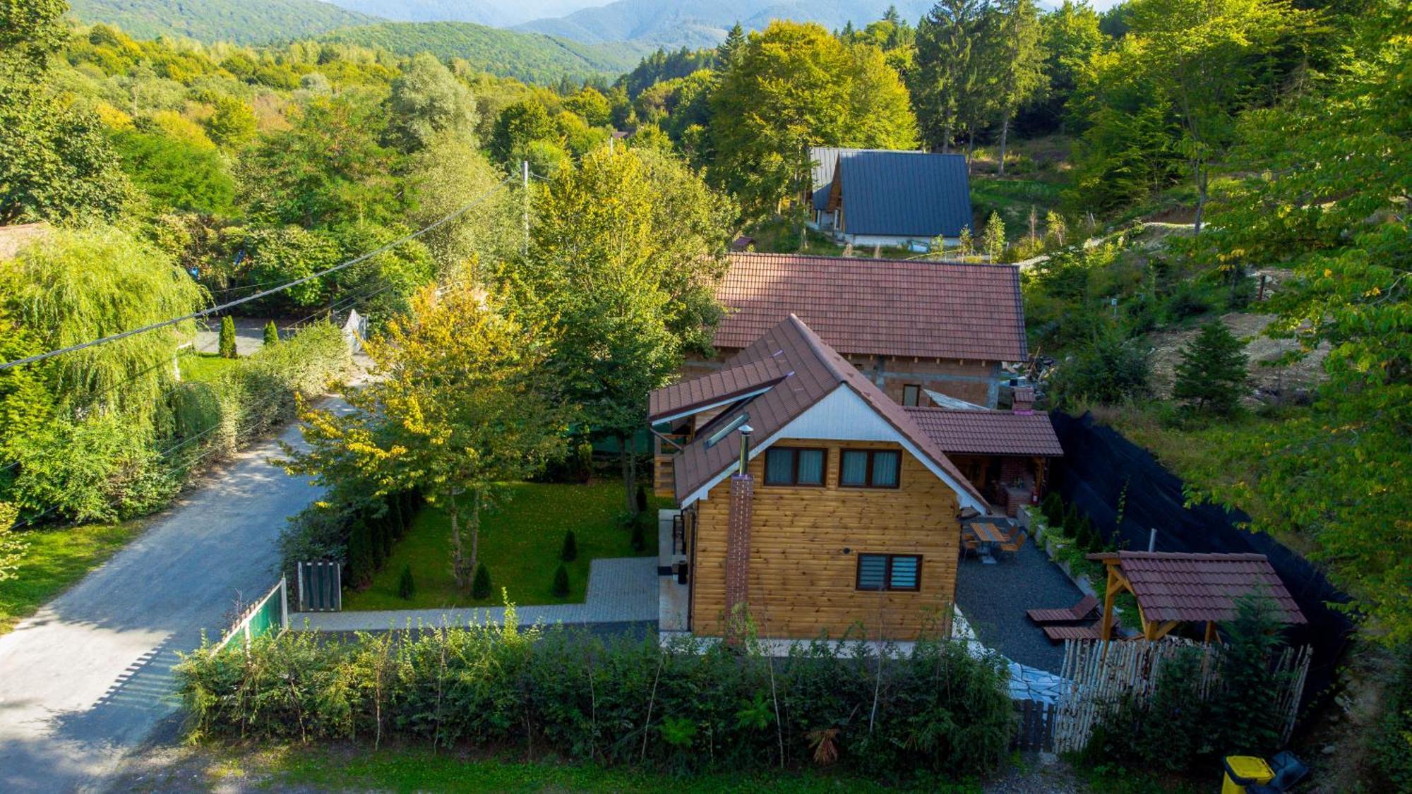 Bear'S Lair Chalet Porumbacu de Sus Exteriör bild