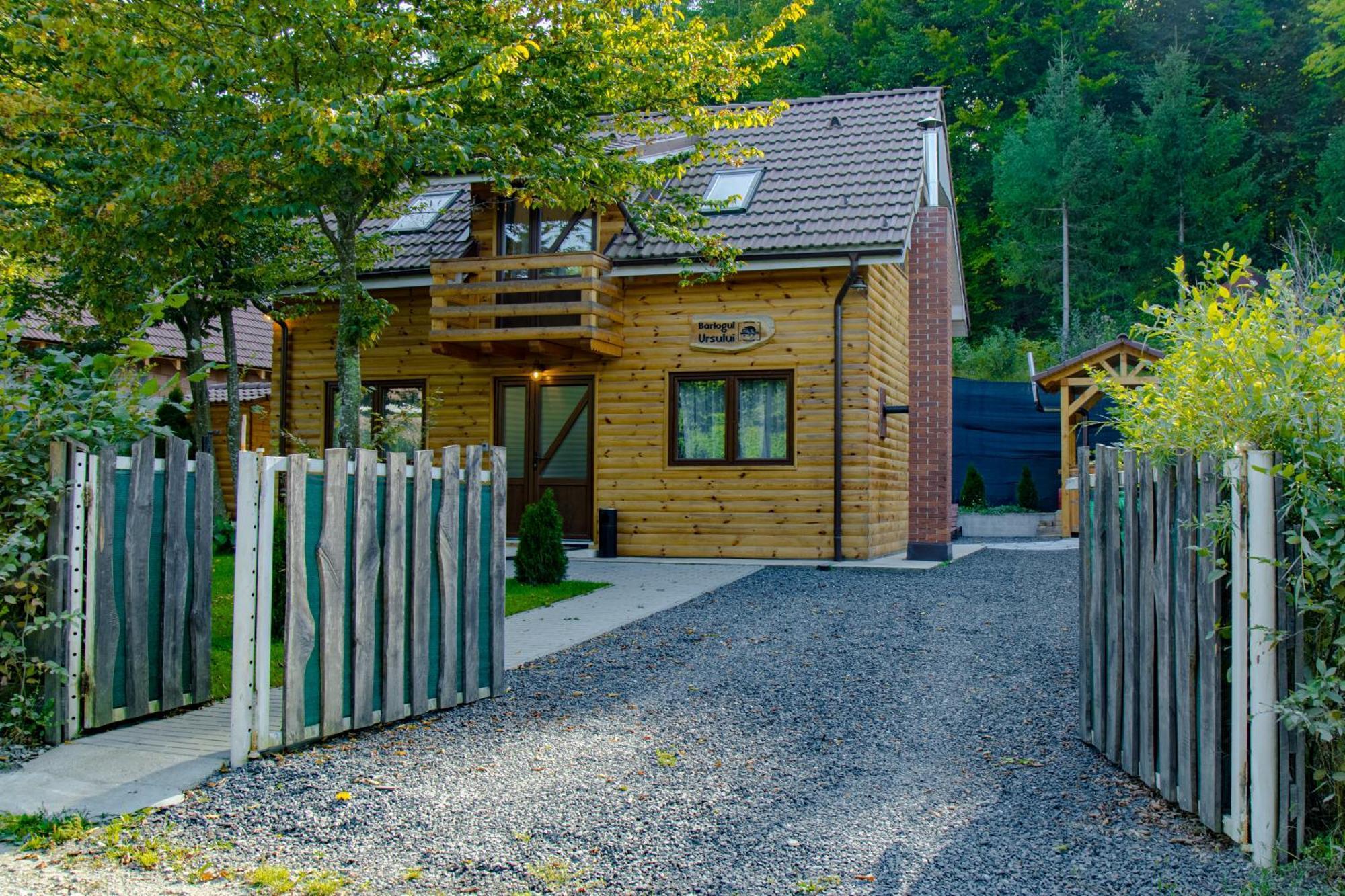 Bear'S Lair Chalet Porumbacu de Sus Exteriör bild